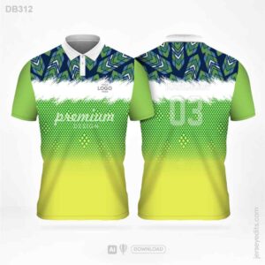 DB312