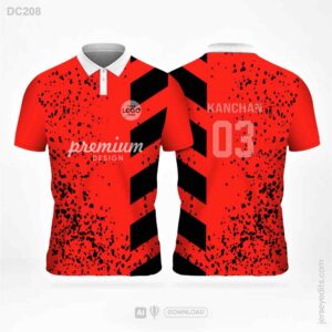 DC208