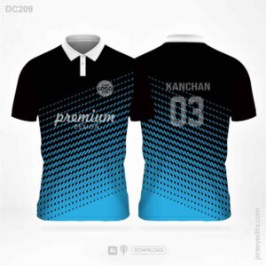 DC209