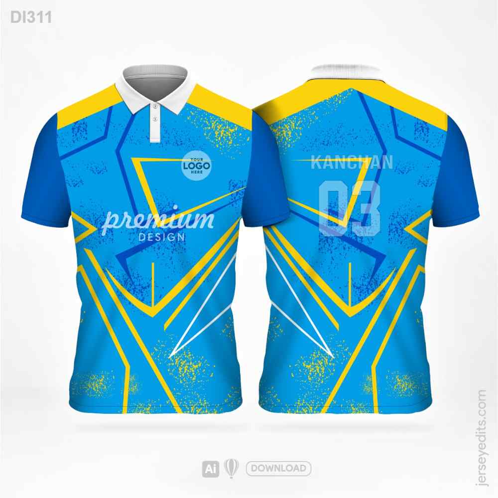DI311